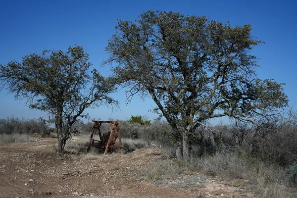 a view of a yard with basketball court