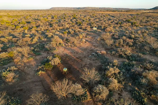 a close up of a tree