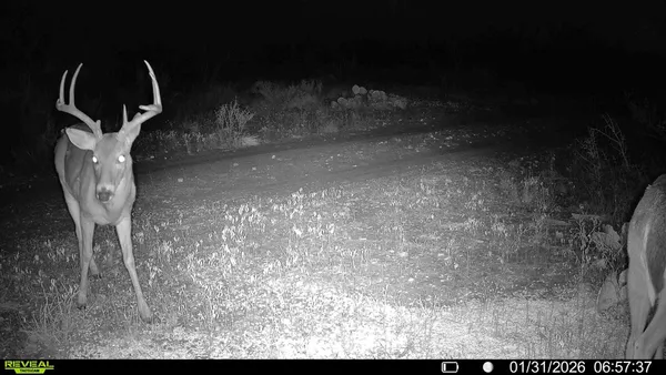 $782,616 | 120 County Road 306, Brady, TX 76825