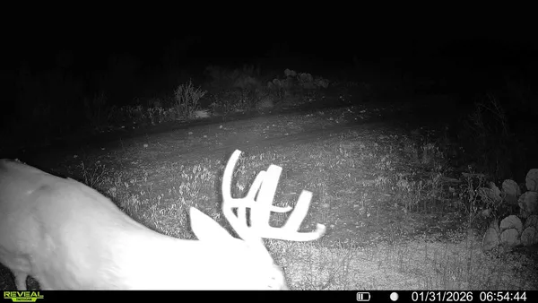 $782,616 | 120 County Road 306, Brady, TX 76825