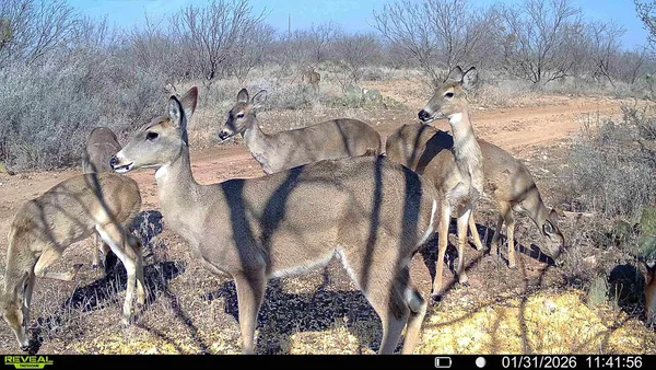 $782,616 | 120 County Road 306, Brady, TX 76825