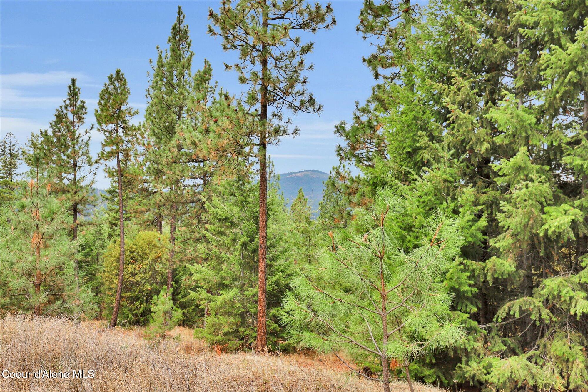 1571 Stone Road Blanchard, ID 83804 - Photo 11 of 22 07-1571 Stone Rd