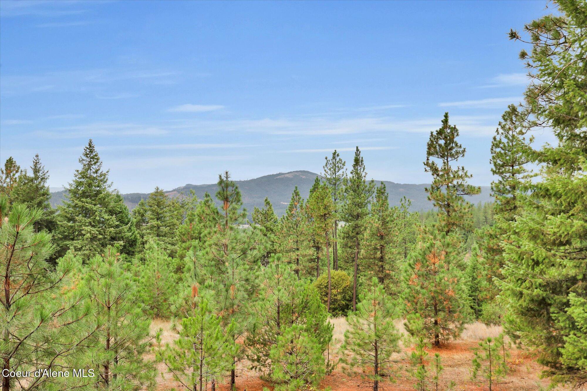 1571 Stone Road Blanchard, ID 83804 - Photo 12 of 22 10-1571 Stone Rd