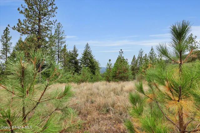 $499,000 | 1571 Stone Road, Blanchard, ID 83804