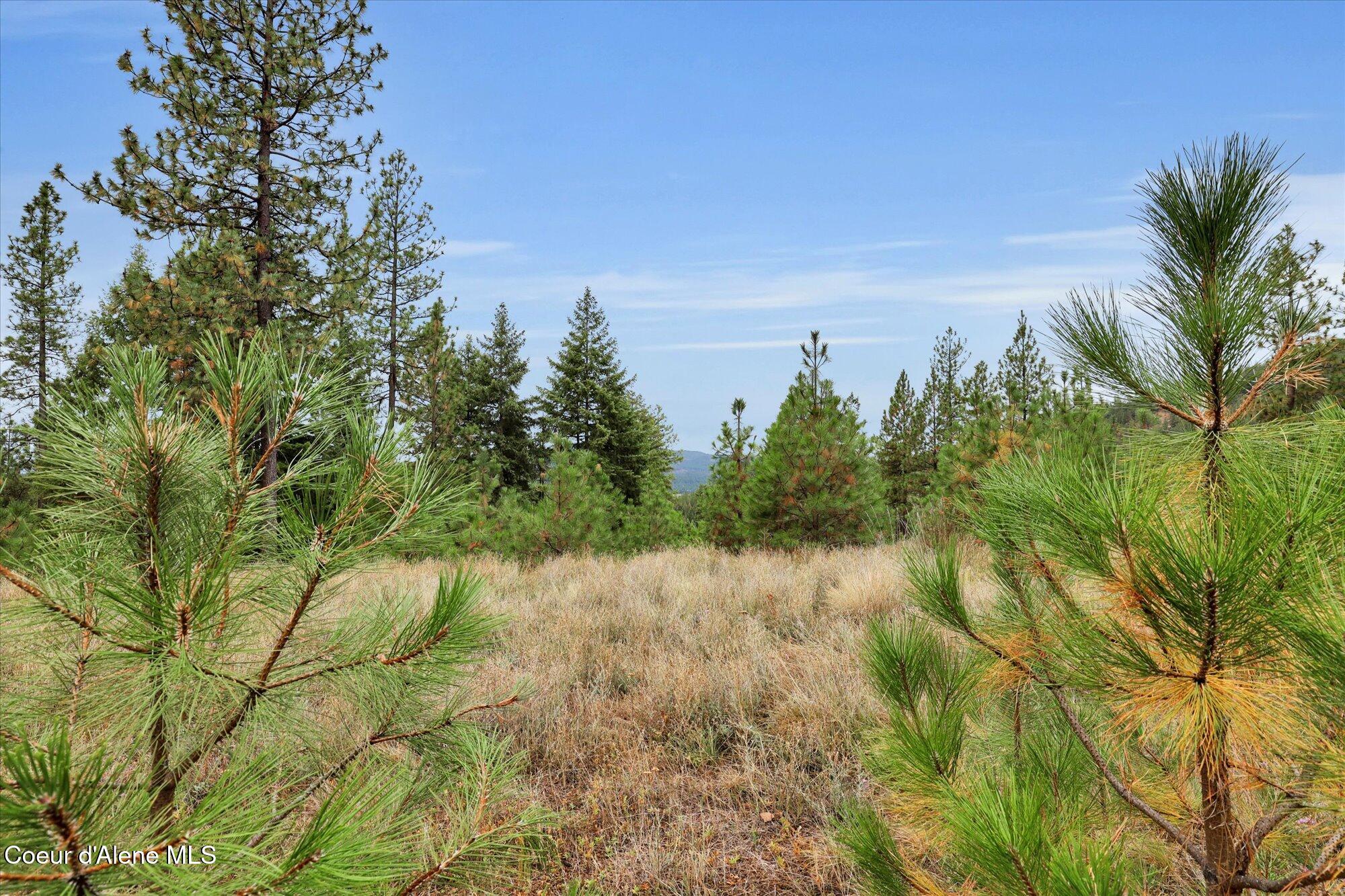 1571 Stone Road Blanchard, ID 83804 - Photo 13 of 22 06-1571 Stone Rd
