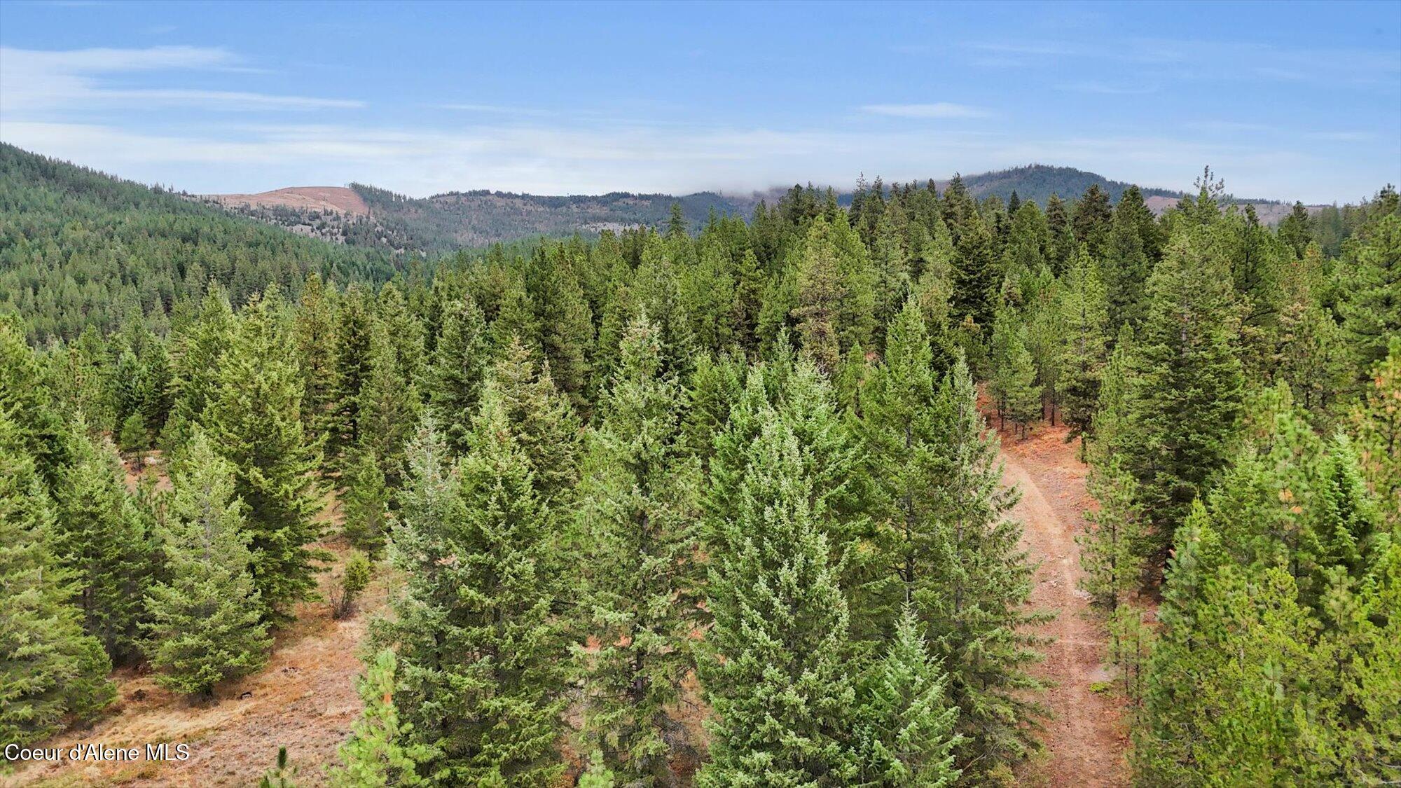 1571 Stone Road Blanchard, ID 83804 - Photo 14 of 22 16-1571 Stone Rd