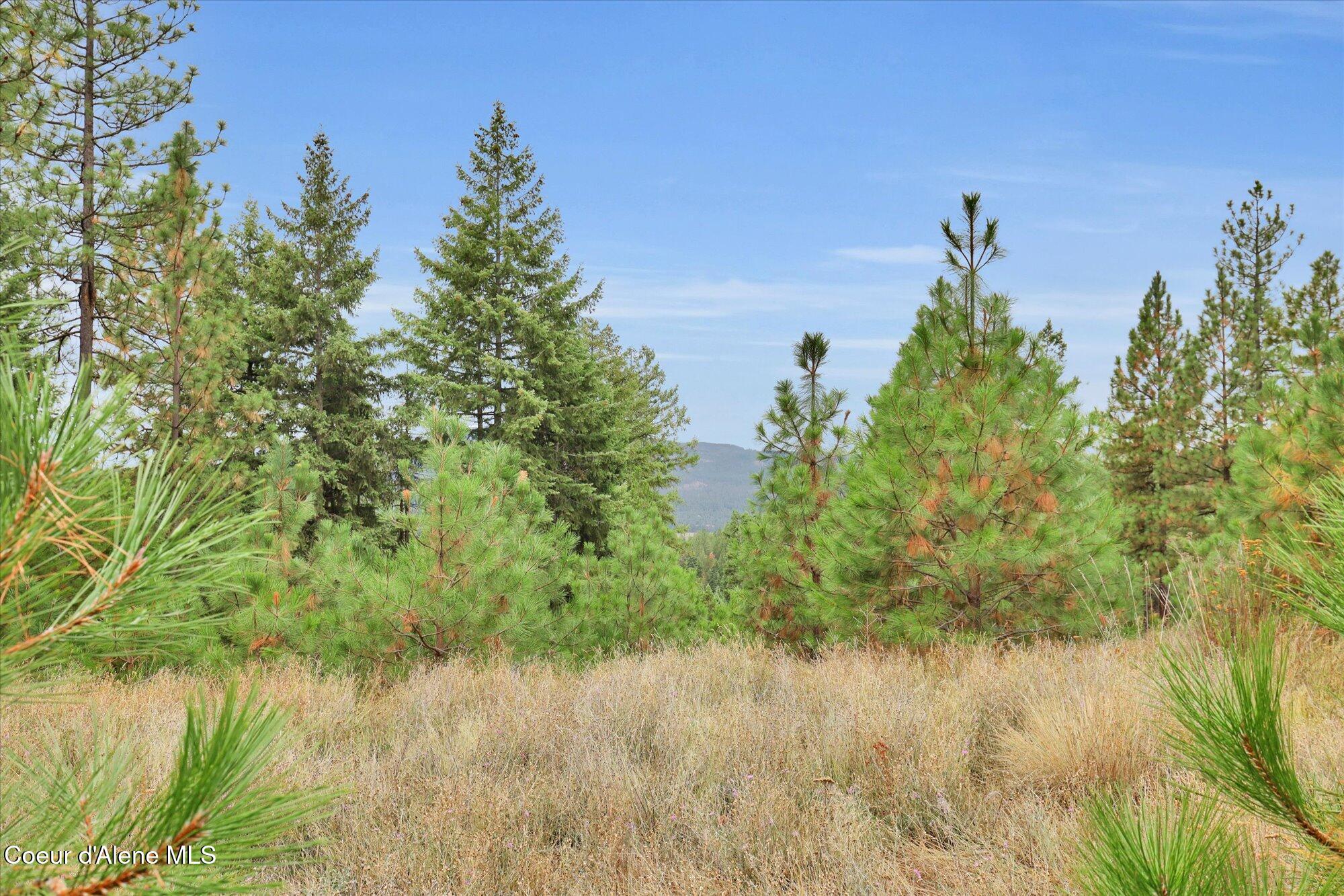 1571 Stone Road Blanchard, ID 83804 - Photo 15 of 22 05-1571 Stone Rd