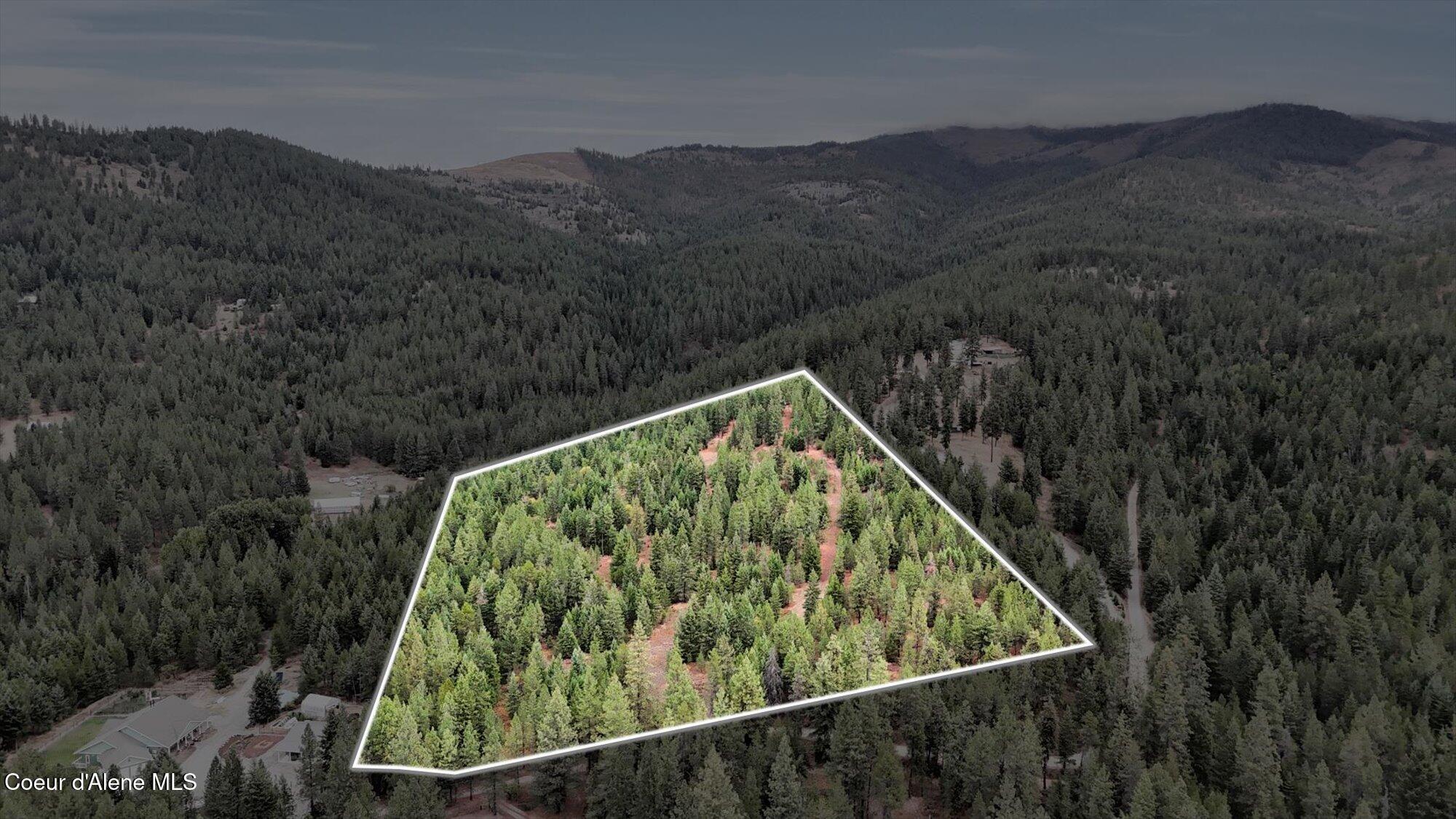 1571 Stone Road Blanchard, ID 83804 - Photo 16 of 22 22-1571 Stone Rd