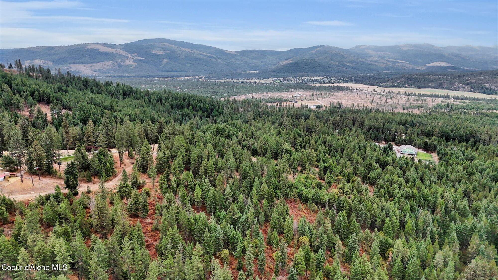 1571 Stone Road Blanchard, ID 83804 - Photo 19 of 22 19-1571 Stone Rd