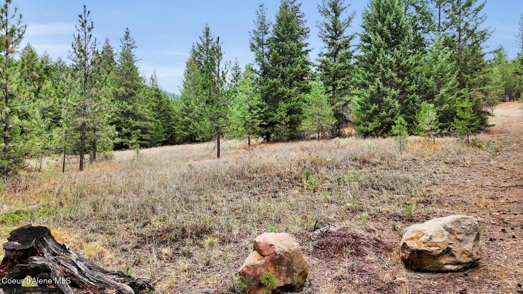 1571 Stone Road Blanchard, ID 83804 - Photo 2 of 22 01-1571 Stone Rd