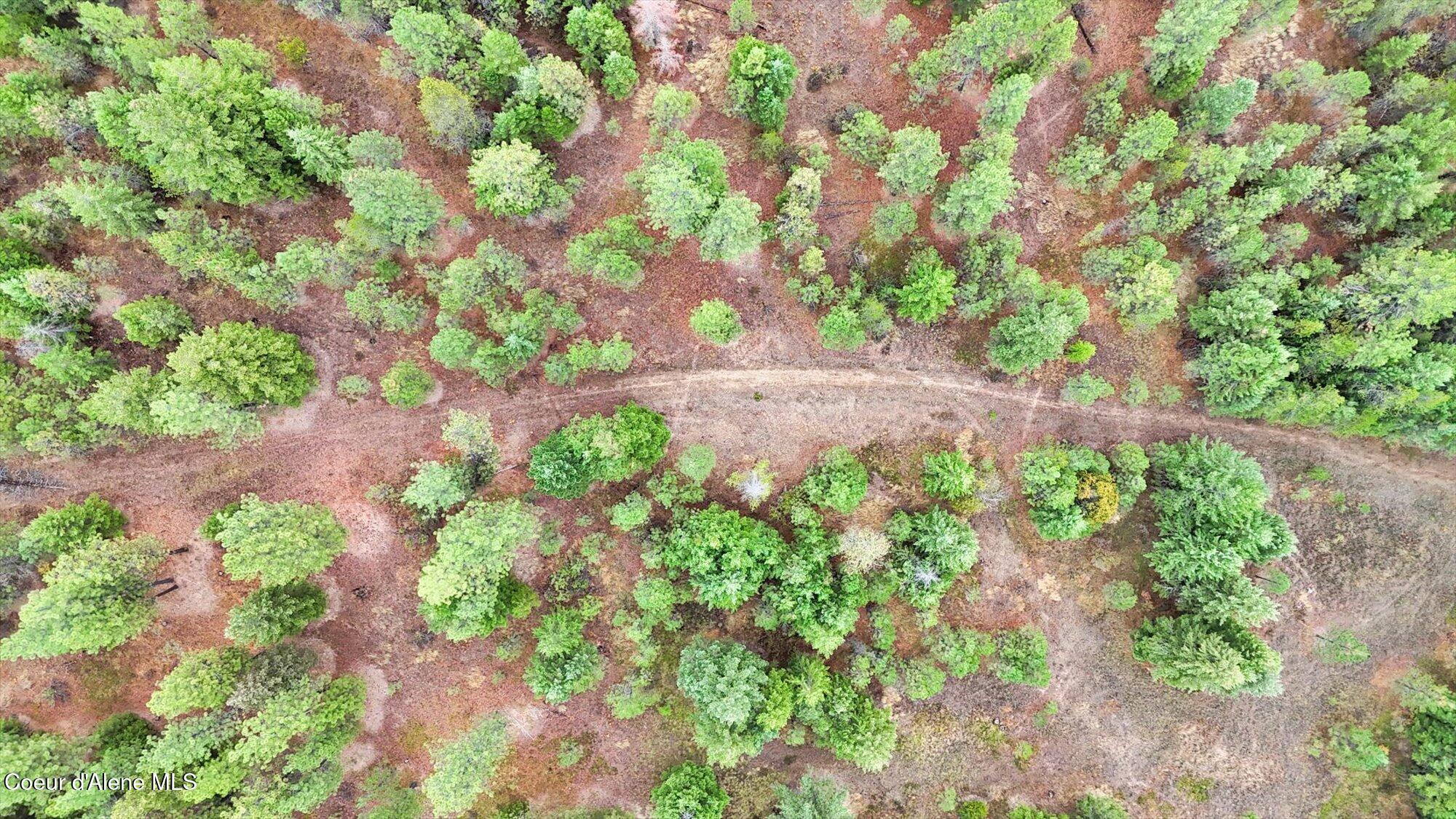 1571 Stone Road Blanchard, ID 83804 - Photo 22 of 22 02-1571 Stone Rd