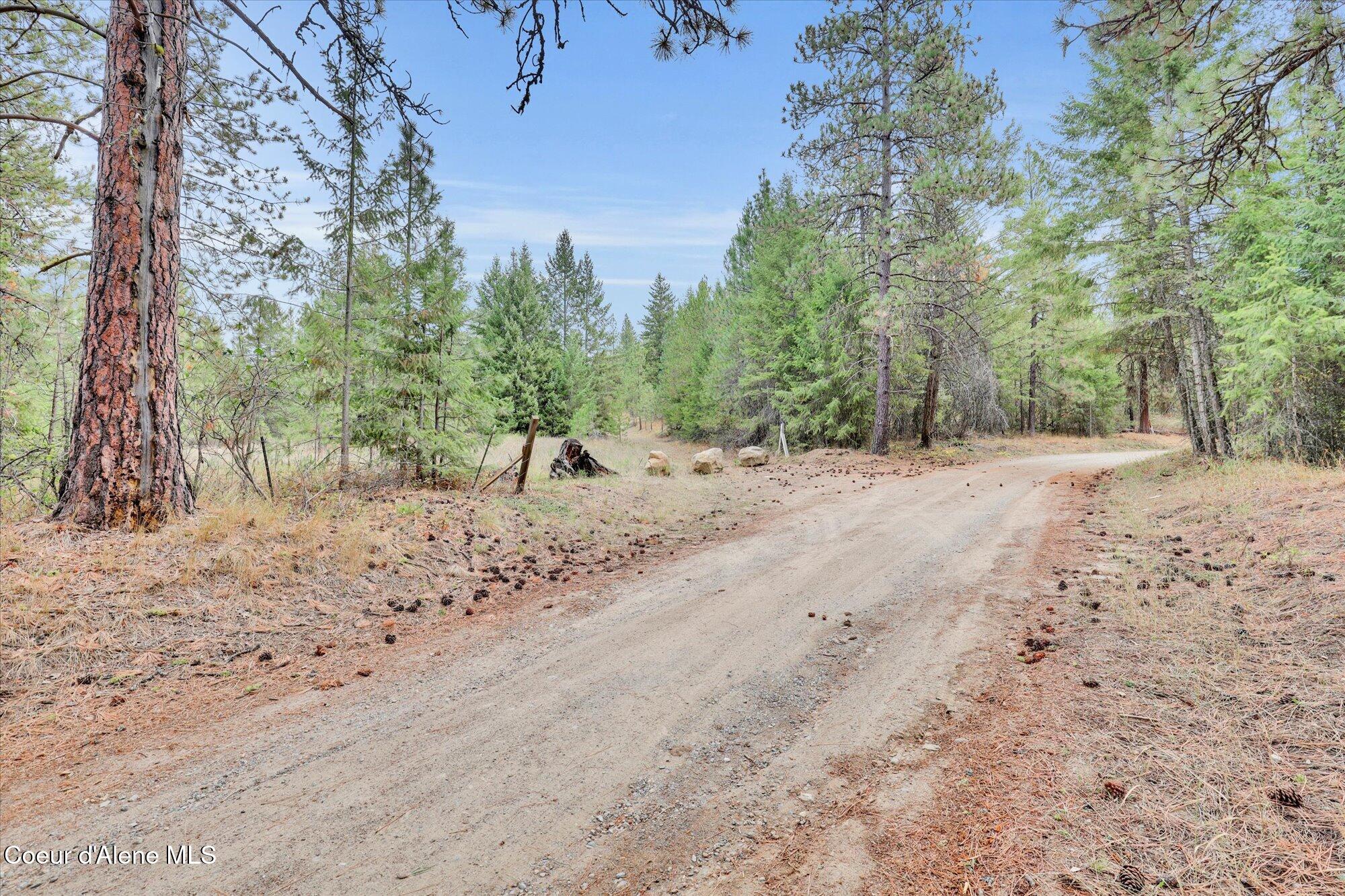 1571 Stone Road Blanchard, ID 83804 - Photo 3 of 22 15-1571 Stone Rd