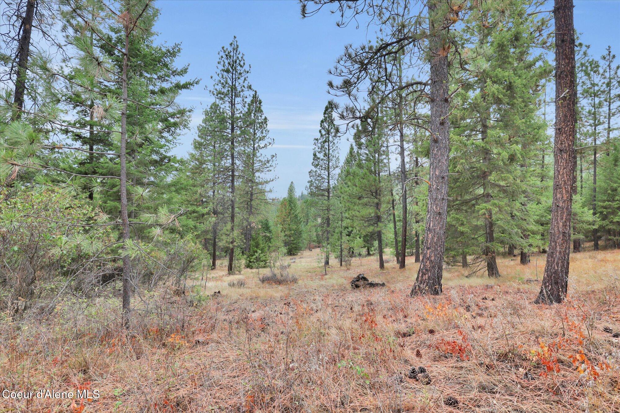 1571 Stone Road Blanchard, ID 83804 - Photo 4 of 22 03-1571 Stone Rd