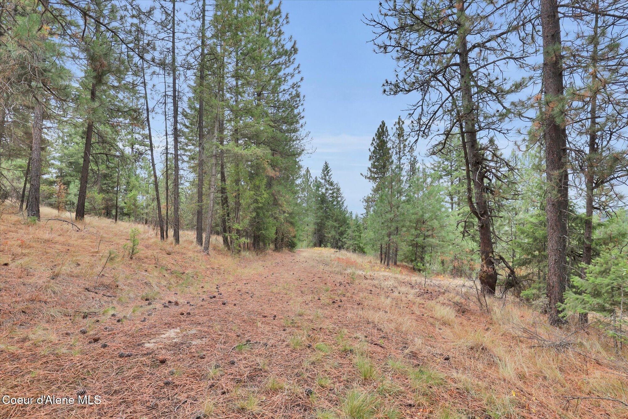 1571 Stone Road Blanchard, ID 83804 - Photo 5 of 22 13-1571 Stone Rd