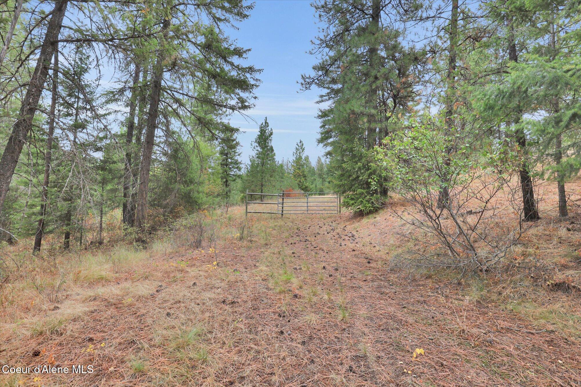 1571 Stone Road Blanchard, ID 83804 - Photo 6 of 22 12-1571 Stone Rd