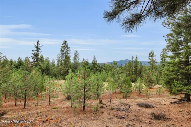 $499,000 | 1571 Stone Road, Blanchard, ID 83804