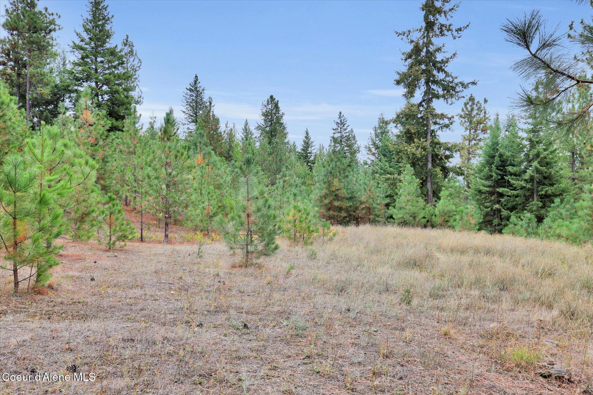 1571 Stone Road Blanchard, ID 83804 - Photo 9 of 22 08-1571 Stone Rd