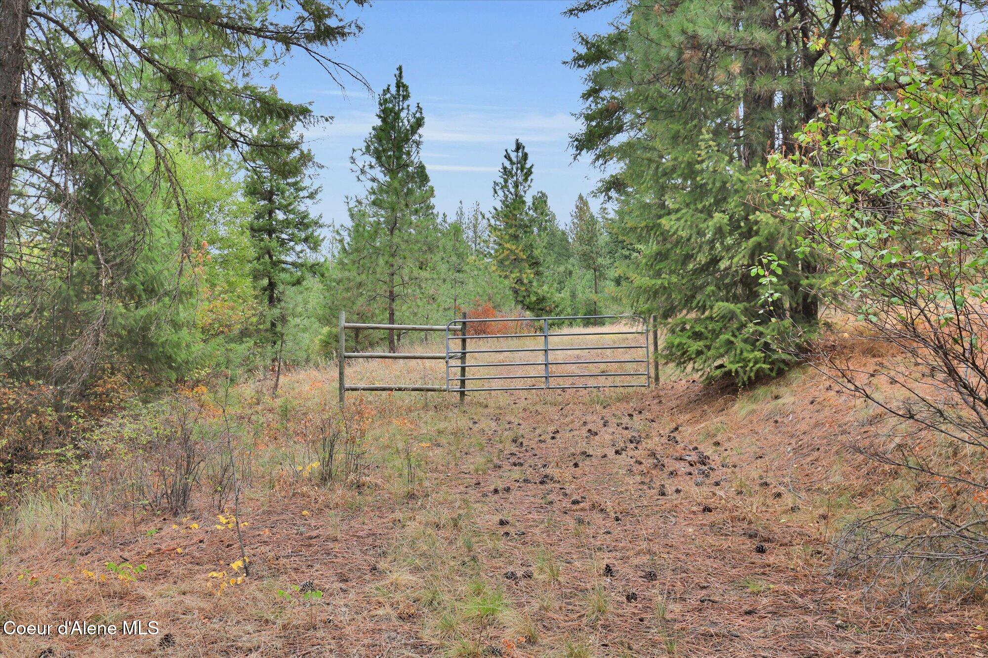 1571 Stone Road Blanchard, ID 83804 - Photo 10 of 22 11-1571 Stone Rd