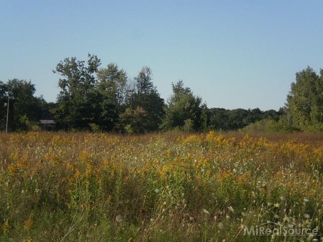 0 Metcalf Road Capac, MI 48014 - Photo 12 of 14