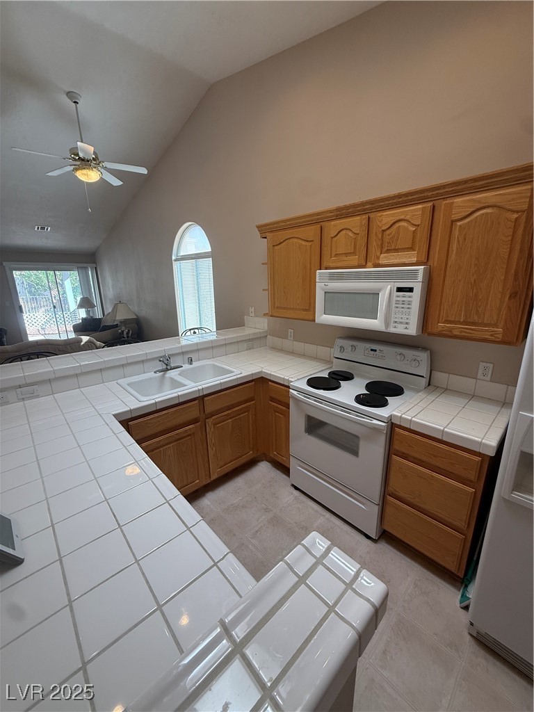 714 Appletree Lane Mesquite, NV 89027 - Photo 4 of 11