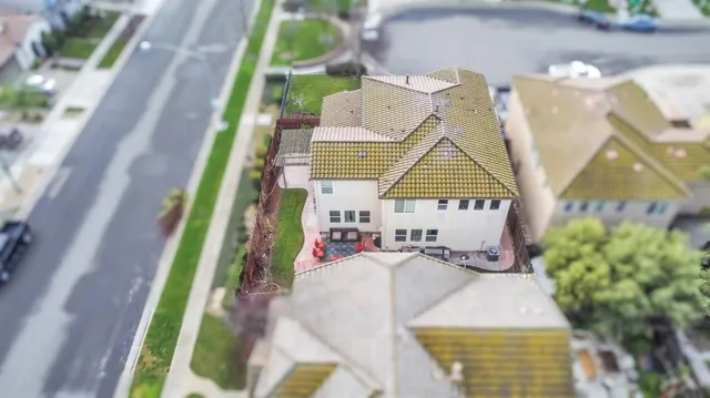 a view of swimming pool with a potted plant