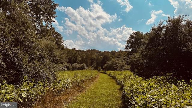 Lot 1 Page Valley Road Luray, VA 22835 - Photo 16 of 20 Gallery Image 16
