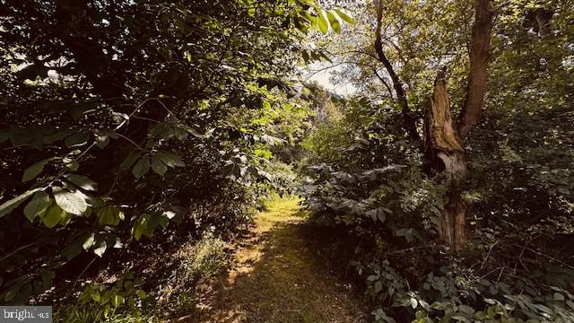 Lot 1 Page Valley Road Luray, VA 22835 - Photo 17 of 20 Gallery Image 17