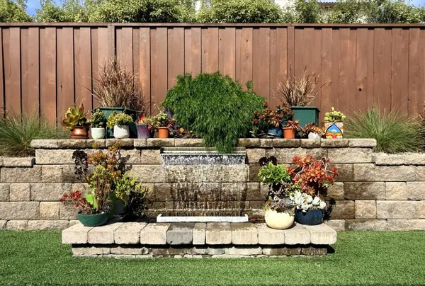 a view of a backyard with plants and wooden fence