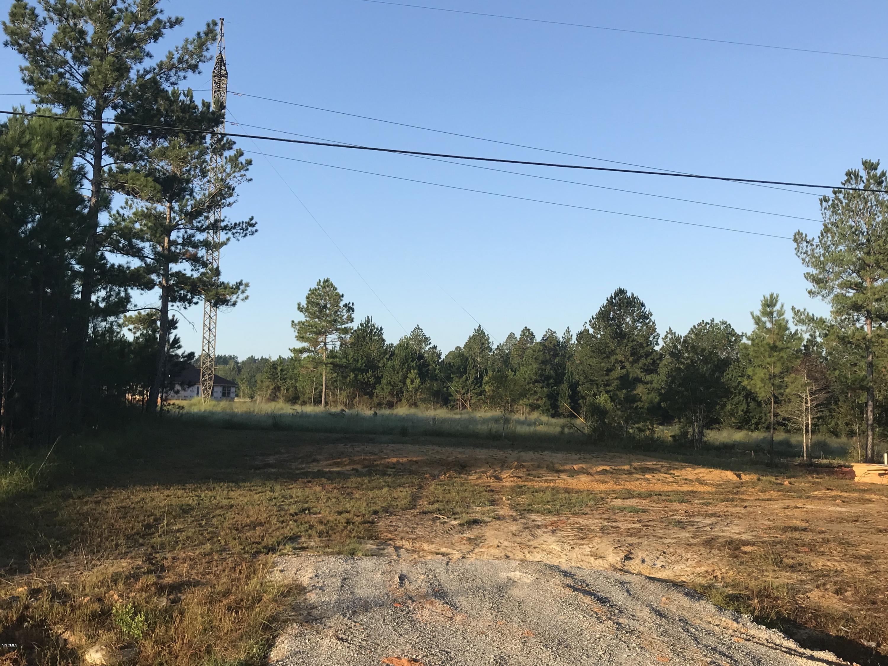 0 Waltrip Way Saucier, MS 39574 - Photo 1 of 5 IMG_1432