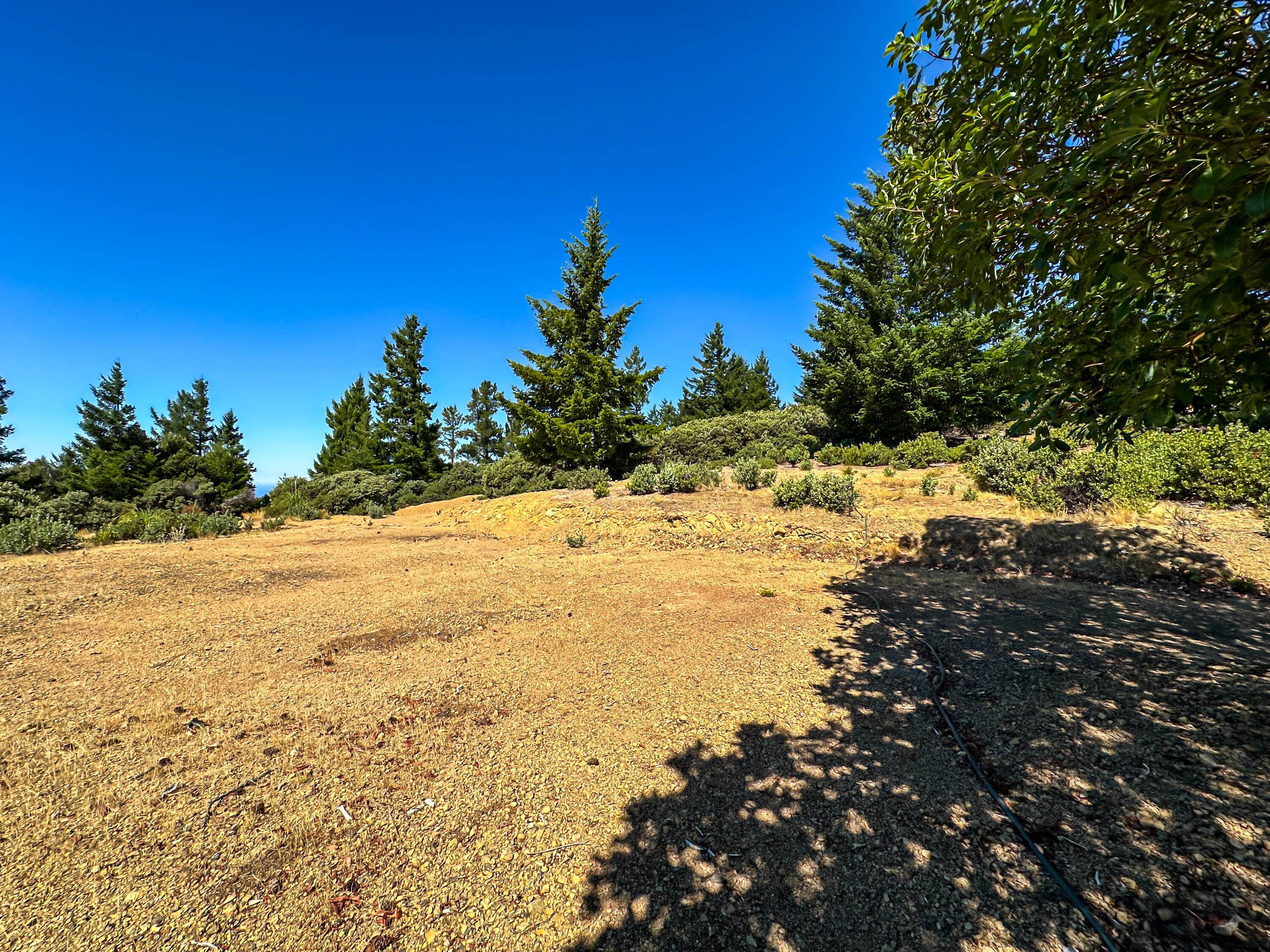 34 Vance Road Whitethorn, CA 95589 - Photo 17 of 20