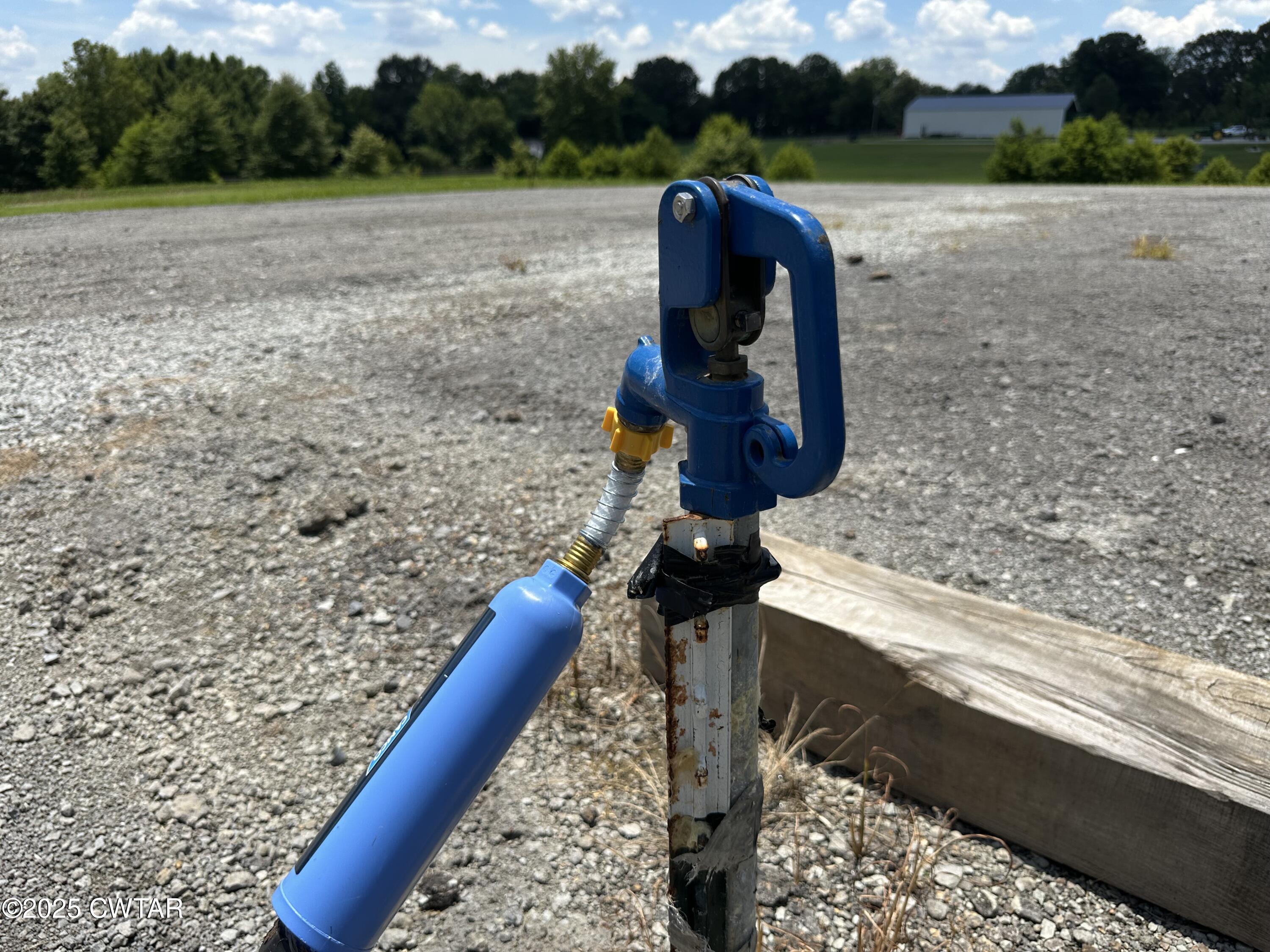 1636 Windrow Road Brownsville, TN 38012 - Photo 8 of 12 a view of a yard
