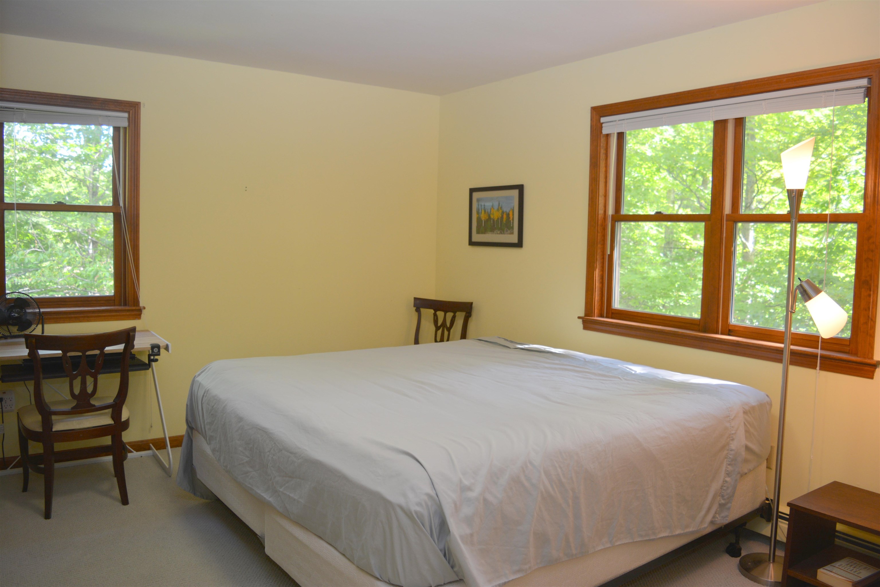 10 Turner Brae Road, Unit BRAE Grantham, NH 03753 - Photo 20 of 39