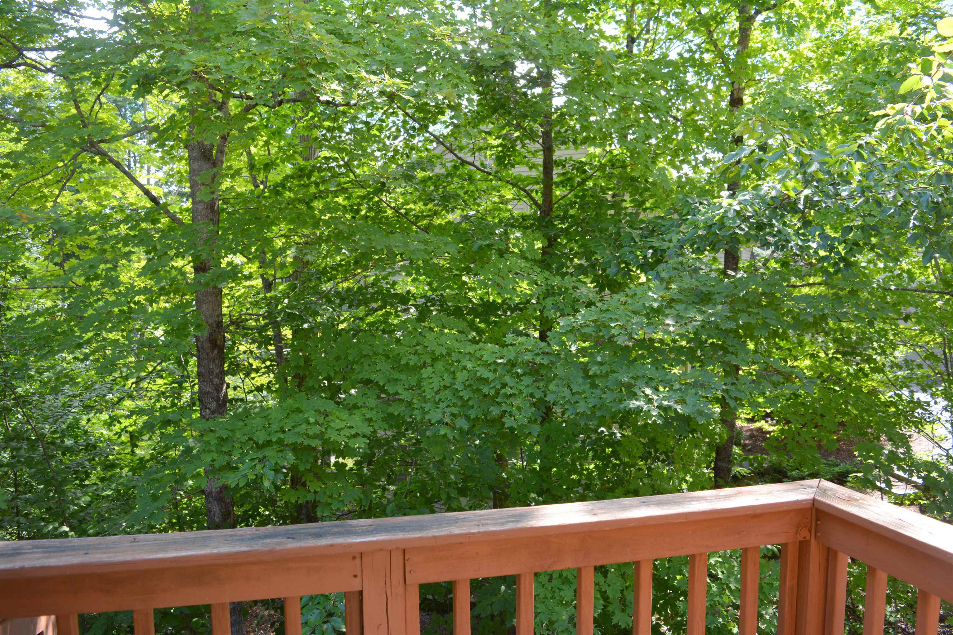 10 Turner Brae Road, Unit BRAE Grantham, NH 03753 - Photo 28 of 39