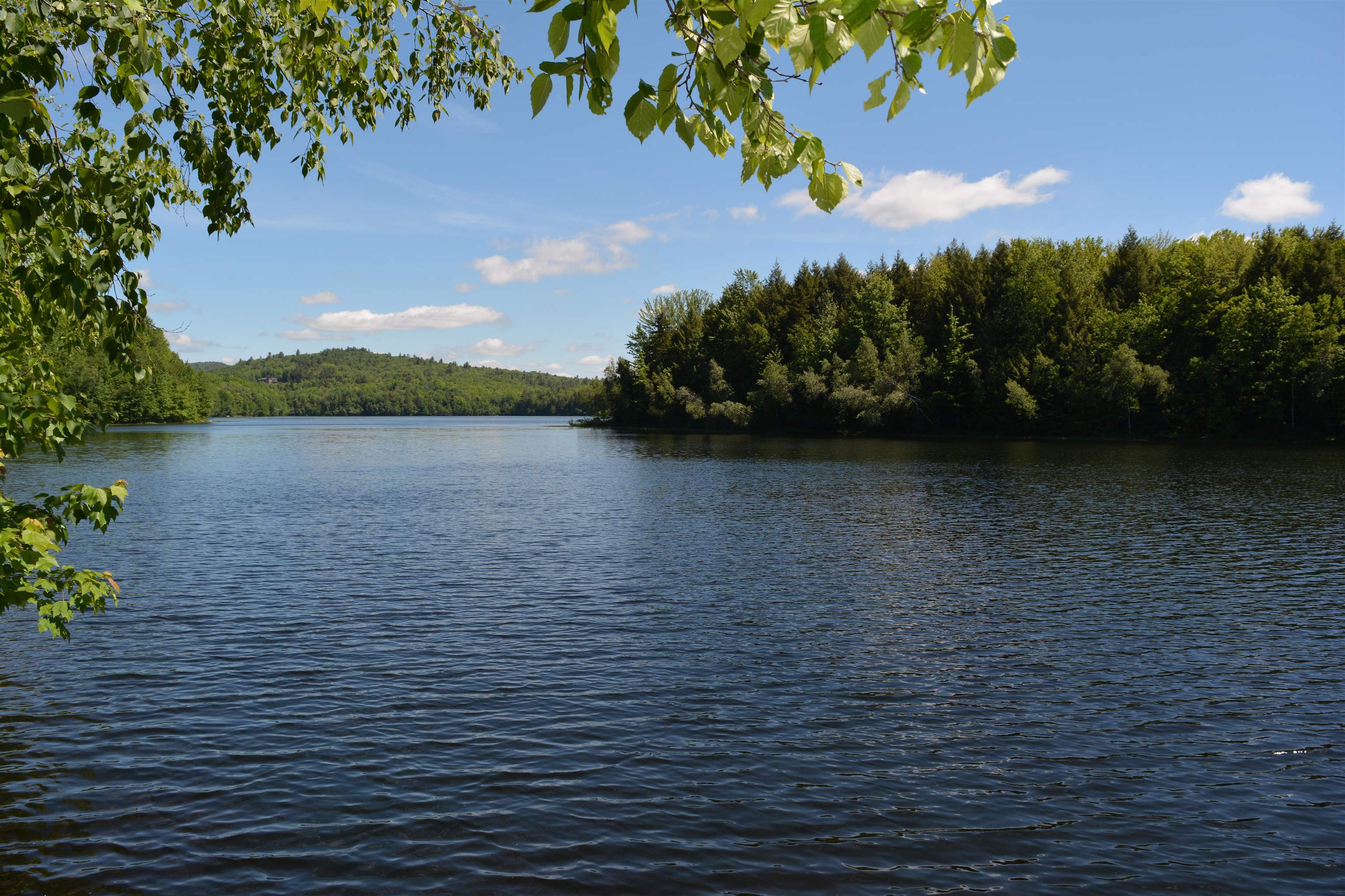 10 Turner Brae Road, Unit BRAE Grantham, NH 03753 - Photo 31 of 39