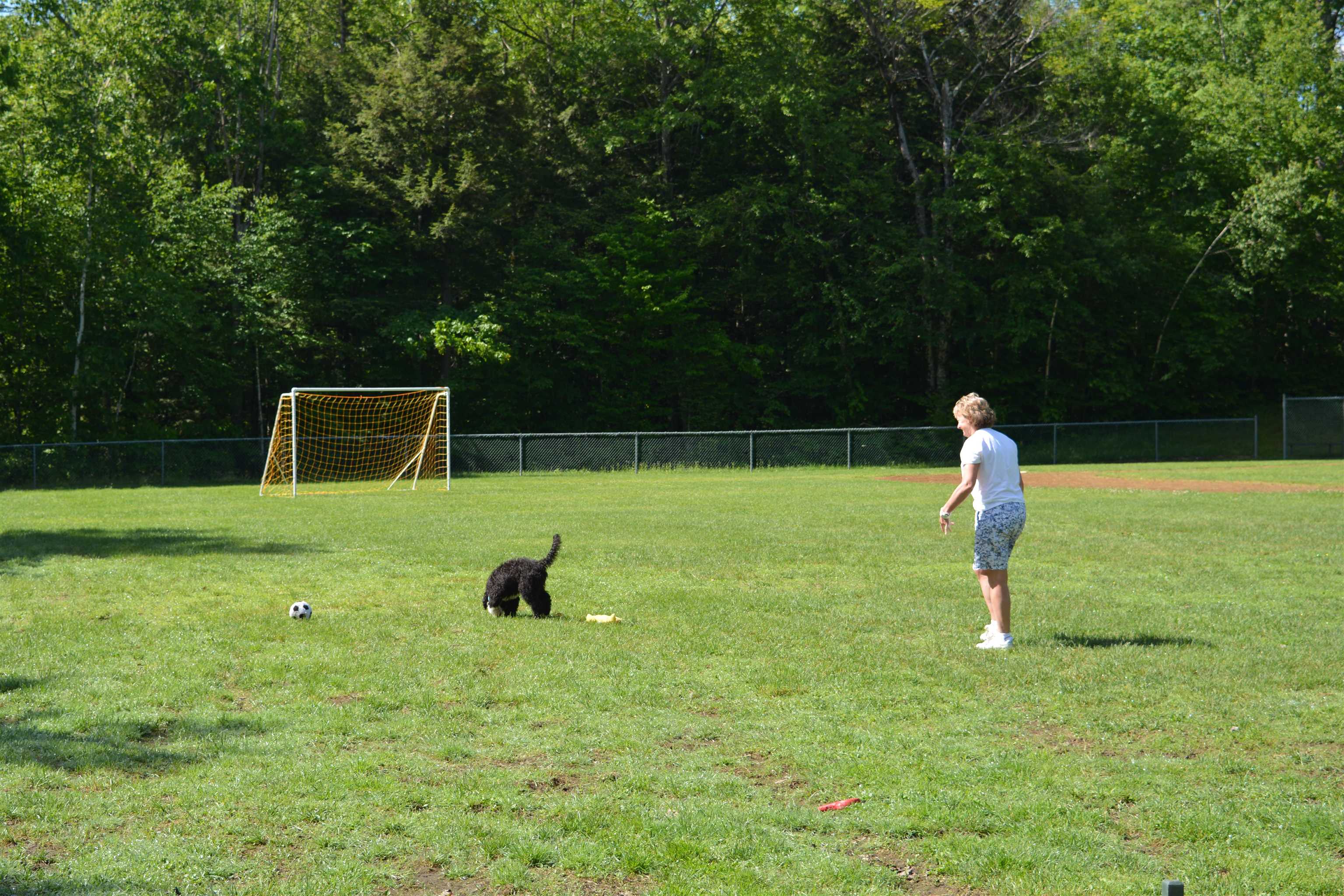 10 Turner Brae Road, Unit BRAE Grantham, NH 03753 - Photo 34 of 39