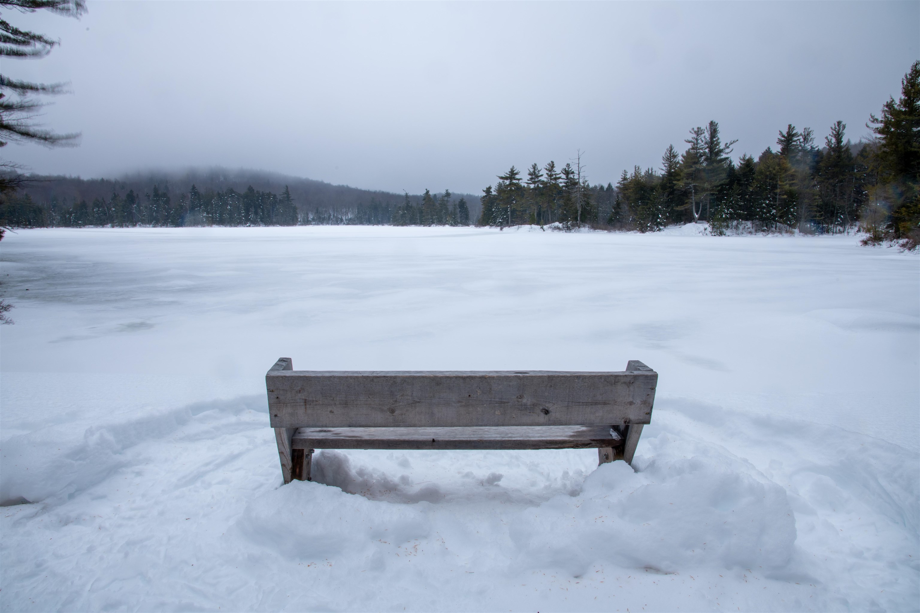 10 Turner Brae Road, Unit BRAE Grantham, NH 03753 - Photo 35 of 39