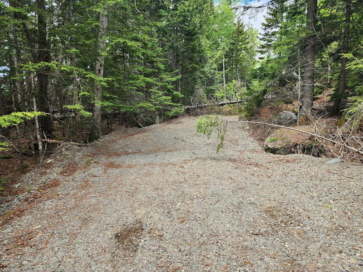 Lot J Lot J Howard Lake Road Robbinston, ME 04671 - Photo 13 of 16 20250611_121221