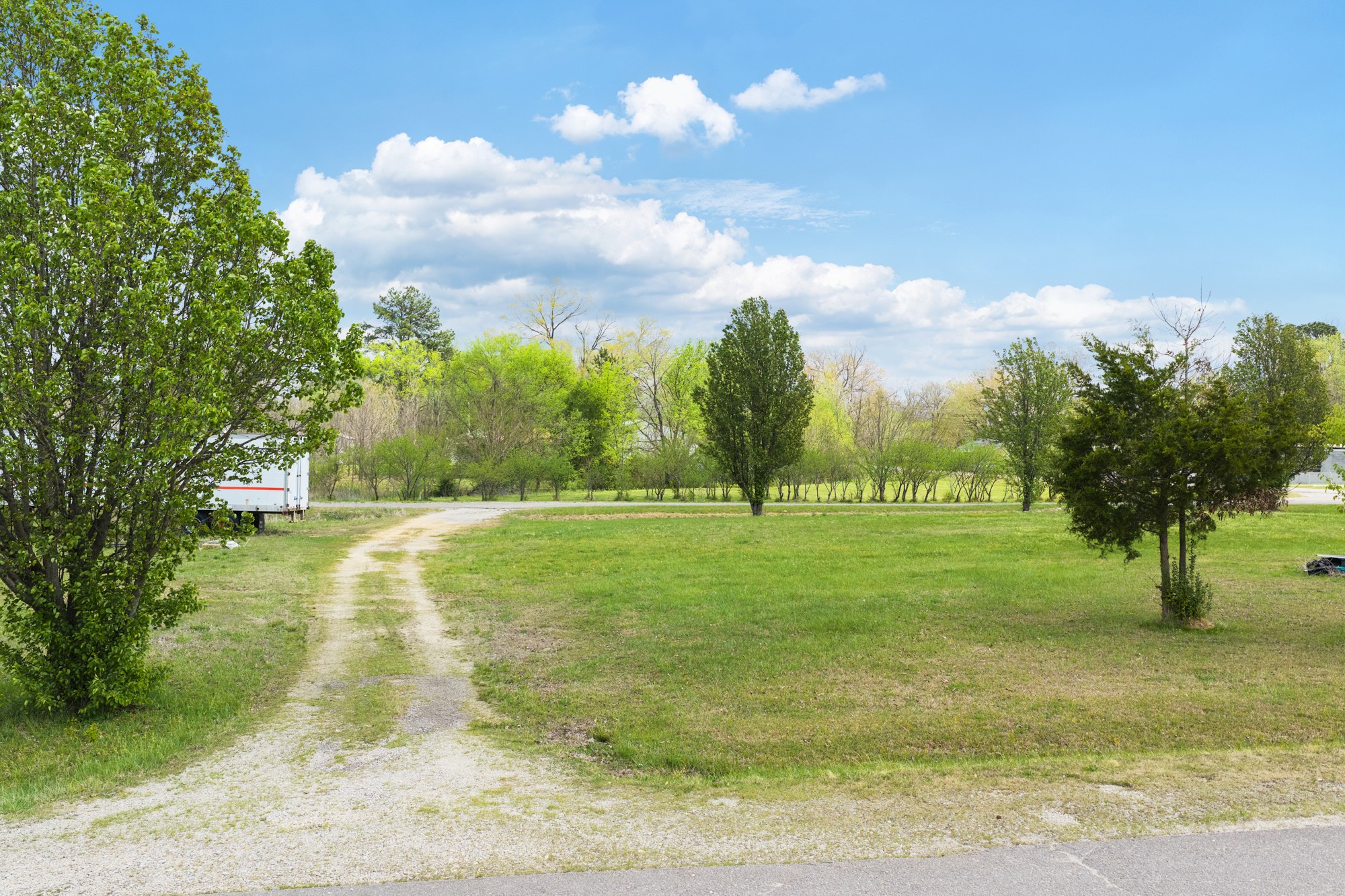 0 West 9th Street Parsons, TN 38363 - Photo 1 of 15 a view of yard with an trees