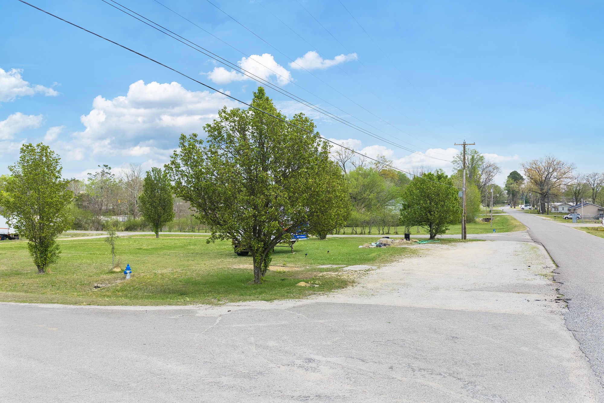 0 West 9th Street Parsons, TN 38363 - Photo 2 of 15 a green field with lots of trees in the background