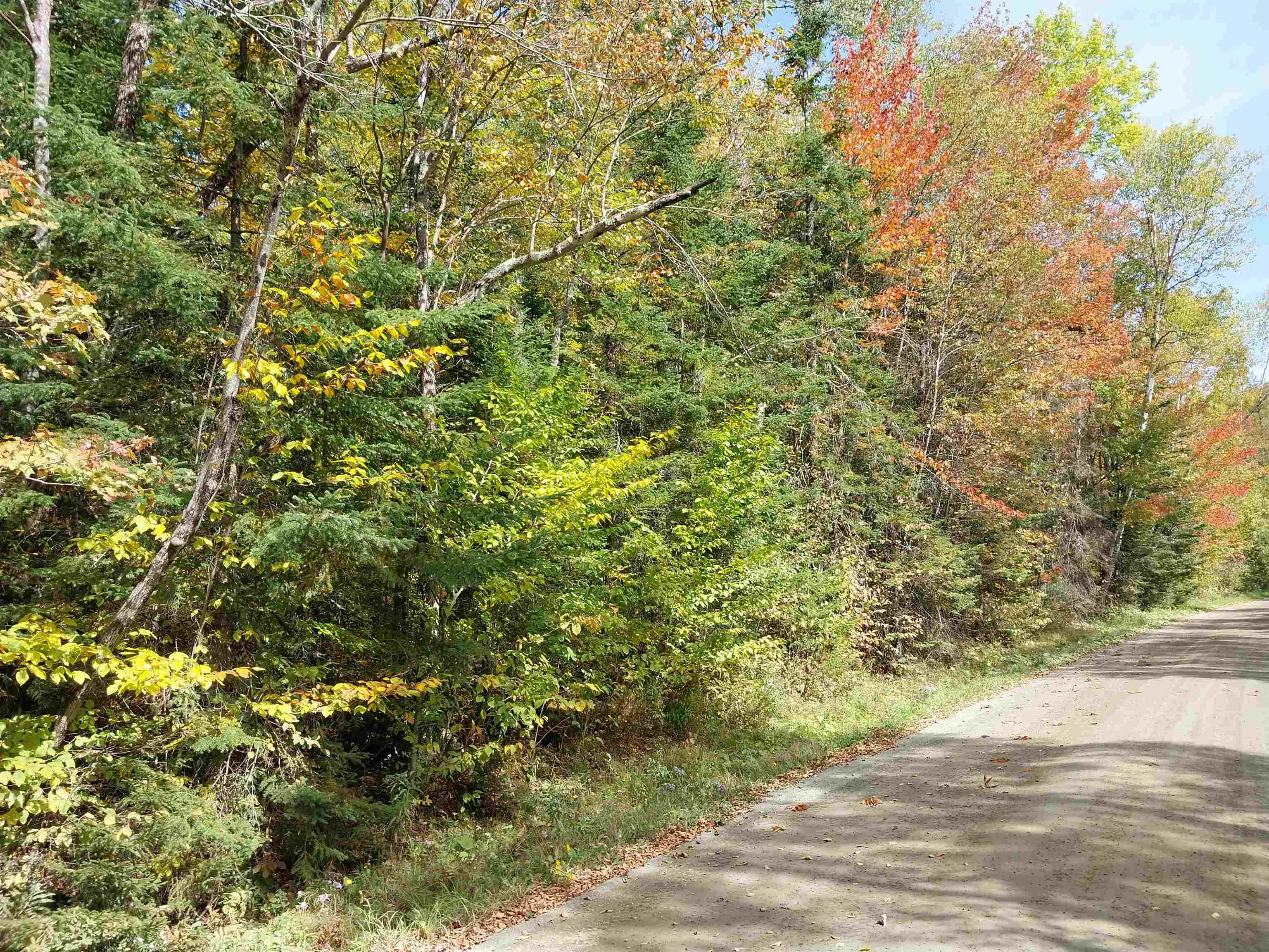 0 Royalston Corner Road, Unit 3 Concord, VT 05824 - Photo 6 of 9