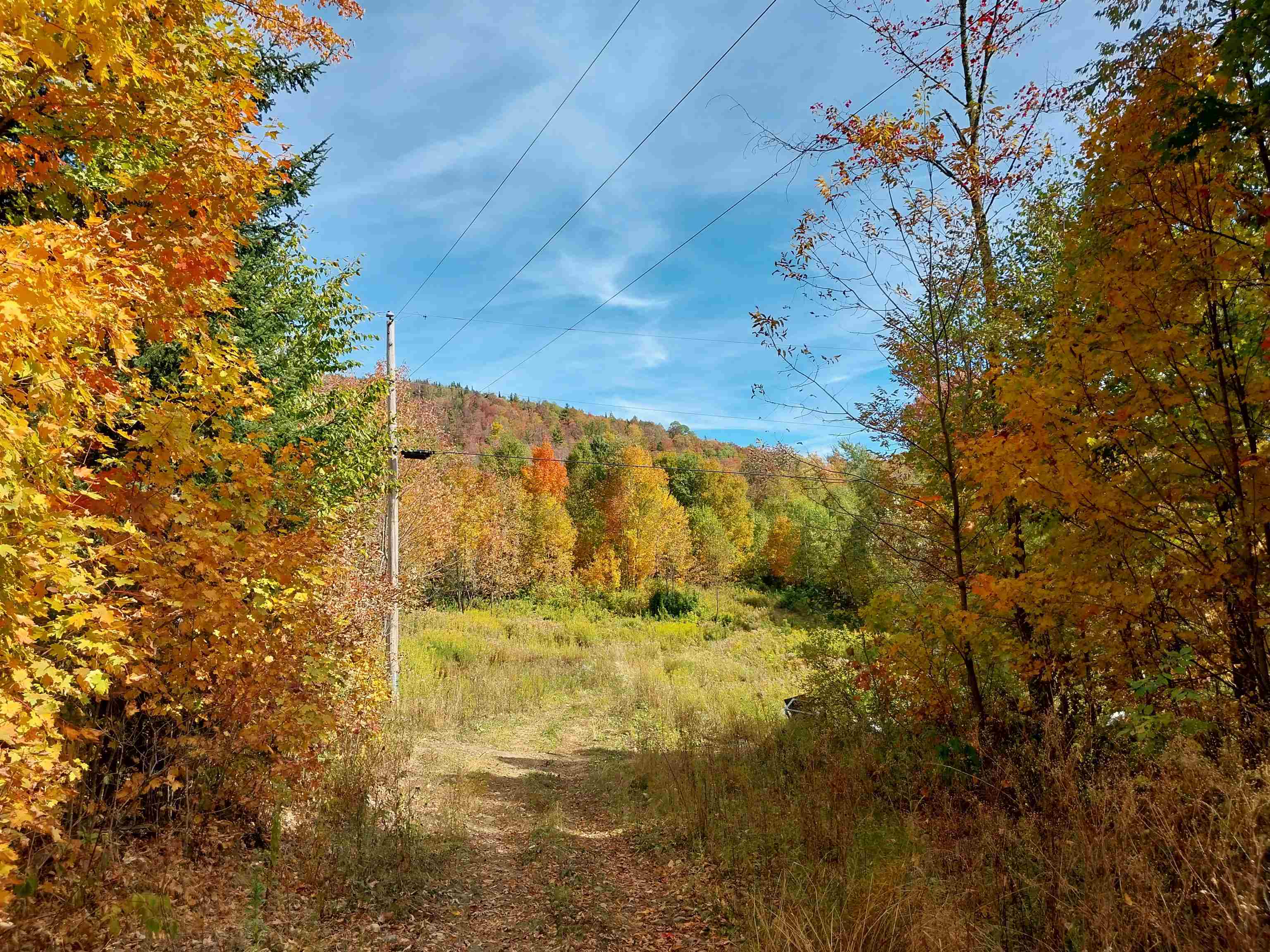 0 Royalston Corner Road, Unit 3 Concord, VT 05824 - Photo 8 of 9