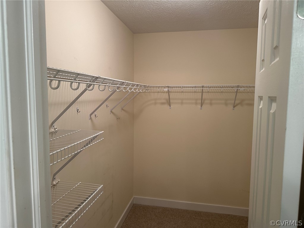 210 Pine Ridge Road Aylett, VA 23009 - Photo 8 of 14 Spacious closet with carpet floors