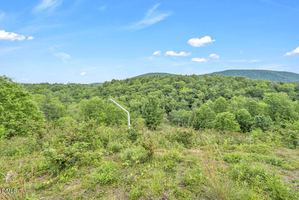 488 Dewitt Road Sparta, NC 28675 - Photo 12 of 17