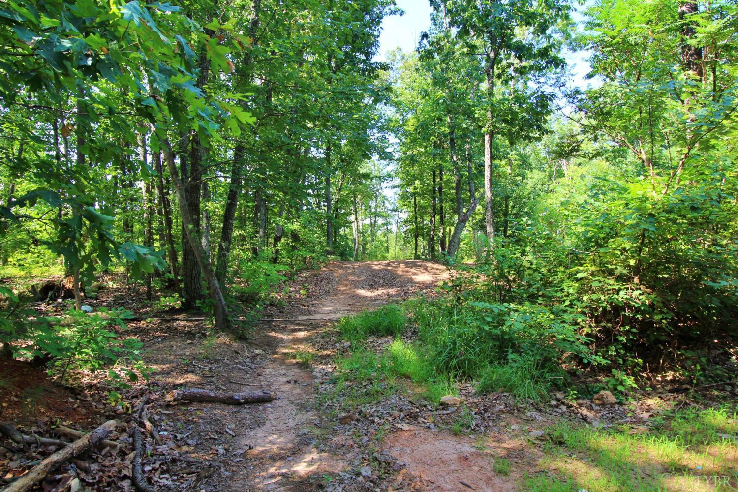 364 Community Road Dillwyn, VA 23936 - Photo 8 of 13