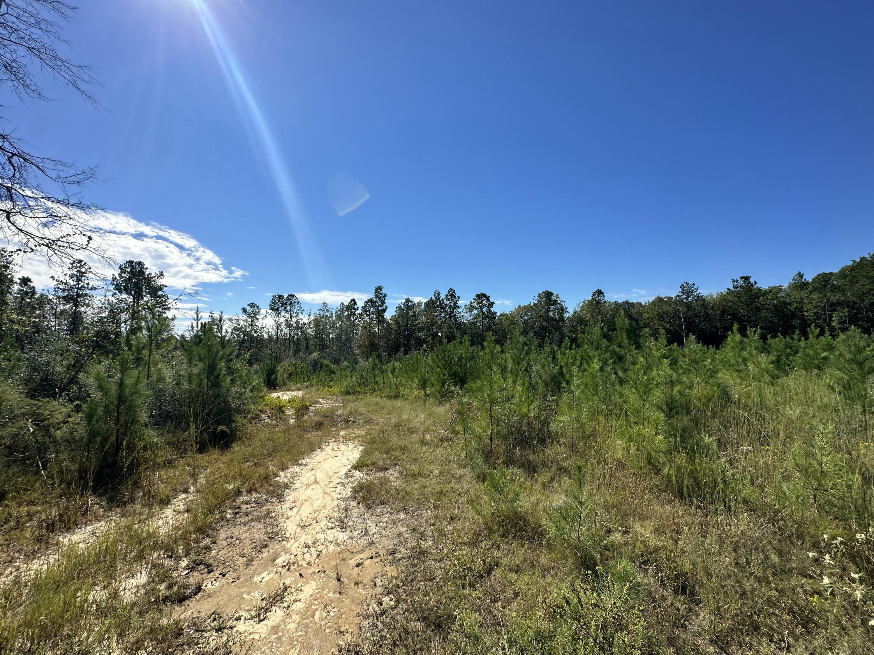 Parcel B Millside Road Laurel Hill, FL 32567 - Photo 6 of 12 a view of a lake with a city
