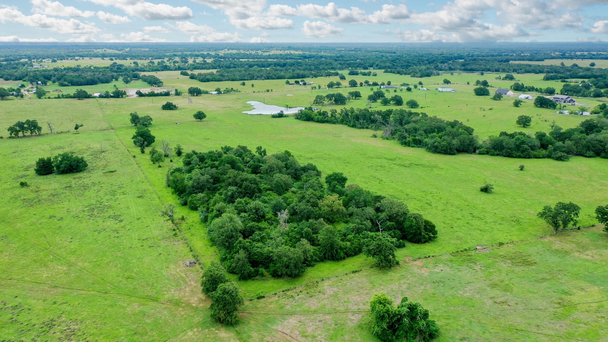 0 Pleasant Grove Road Iola, TX 77861 - Photo 6 of 18 a view of a green field with an trees