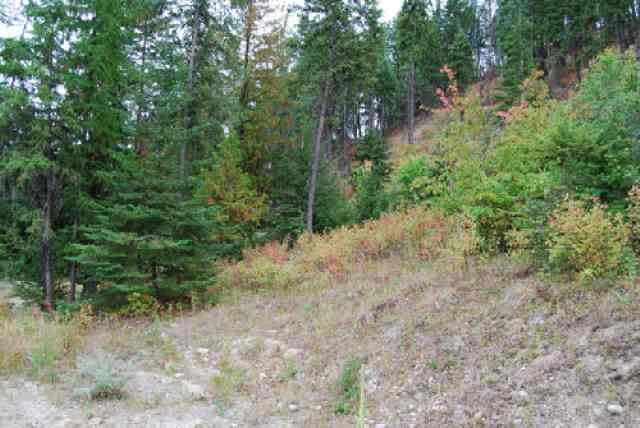 714 B State Rte 20 Colville, WA 99114 - Photo 2 of 5