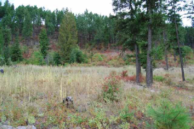 714 B State Rte 20 Colville, WA 99114 - Photo 3 of 5