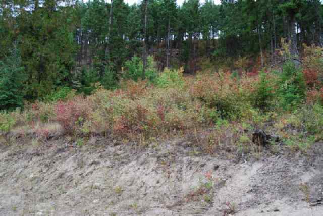 714 B State Rte 20 Colville, WA 99114 - Photo 4 of 5