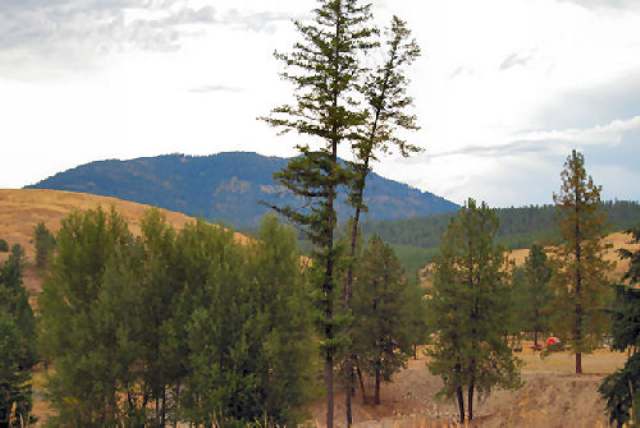 714 B State Rte 20 Colville, WA 99114 - Photo 5 of 5